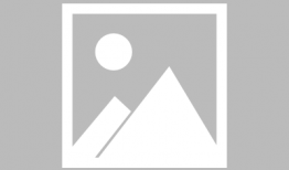 狗狗最新爆料视频大全图片,萌宠瞬间大盘点，笑料十足！